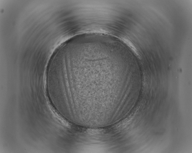 X0000089970840200707131421