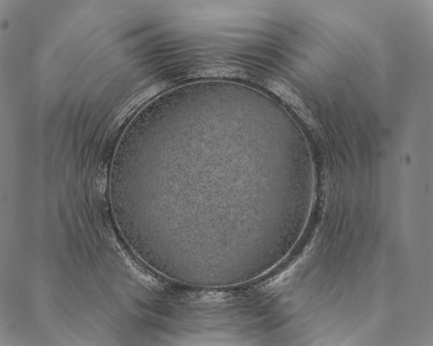 X0000089970841200707131421