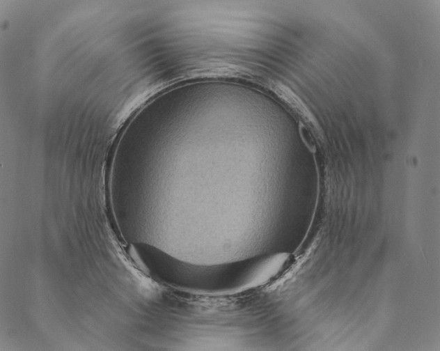 X0000089970842200707131421