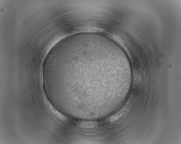 X0000089970843200707131421