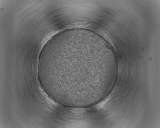 X0000089970844200707131421