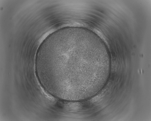 X0000089970845200707131421