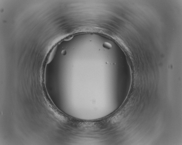 X0000089970846200707131421