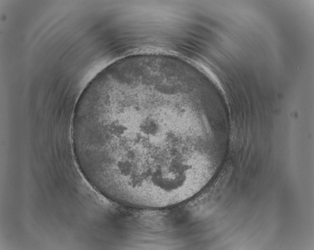 X0000089970847200707131421