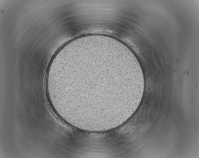 X0000089970848200707131421