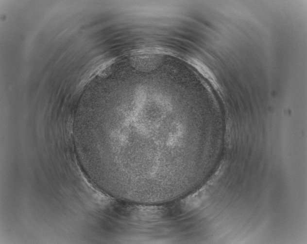 X0000089970849200707131421