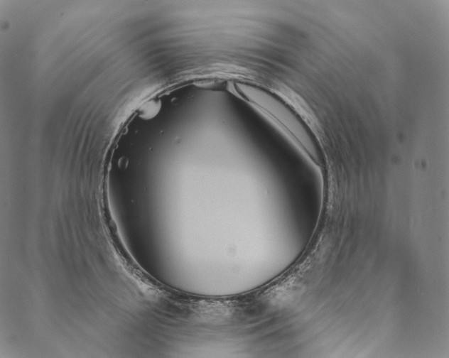 X0000089970850200707131421