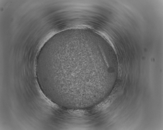 X0000089970851200707131421