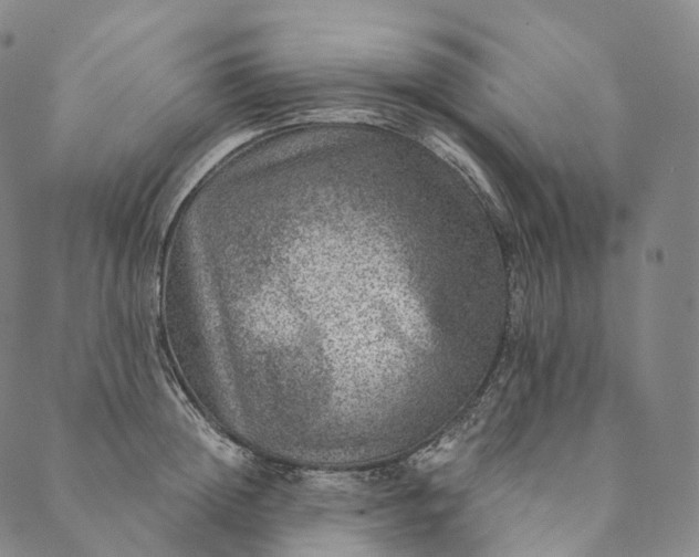 X0000089970852200707131421