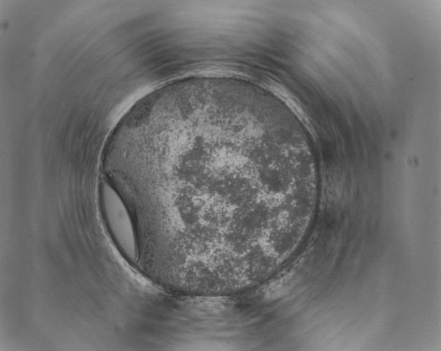 X0000089970853200707131421