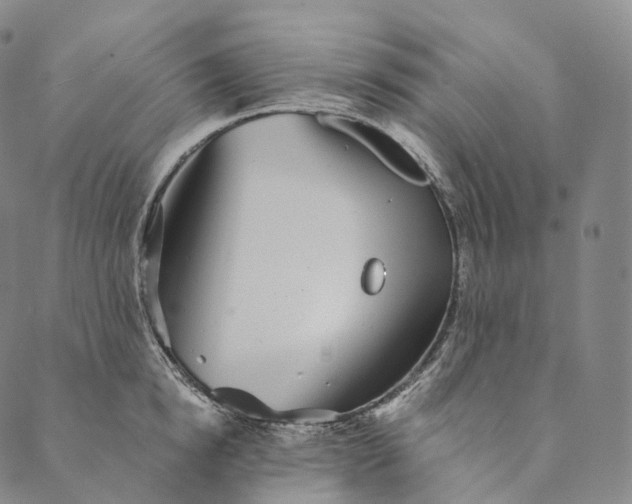 X0000089970854200707131421