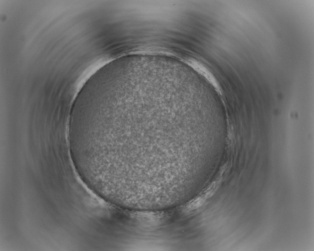 X0000089970855200707131421