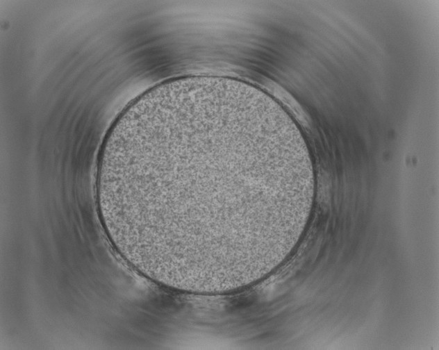 X0000089970856200707131421