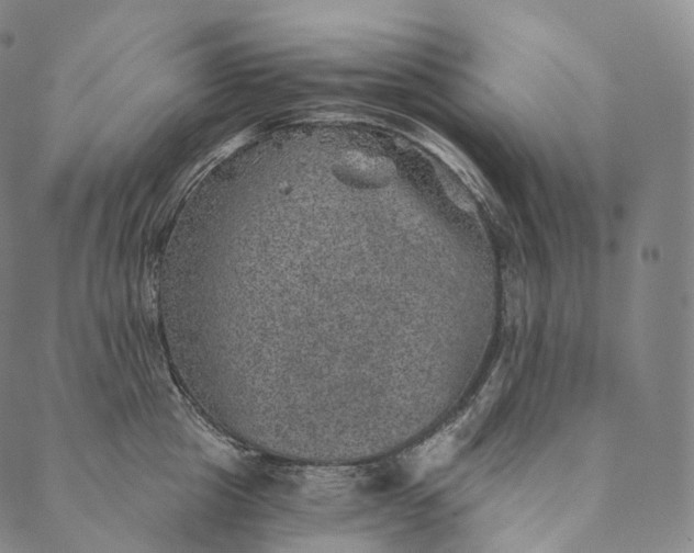 X0000089970857200707131421