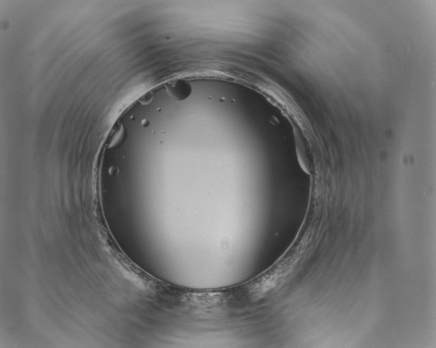 X0000089970858200707131421