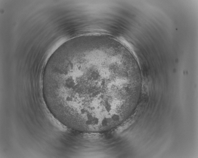 X0000089970859200707131421