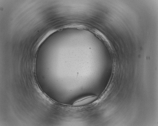 X0000089970860200707131421