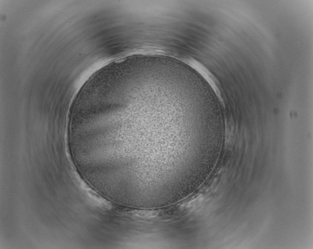 X0000089970861200707131421