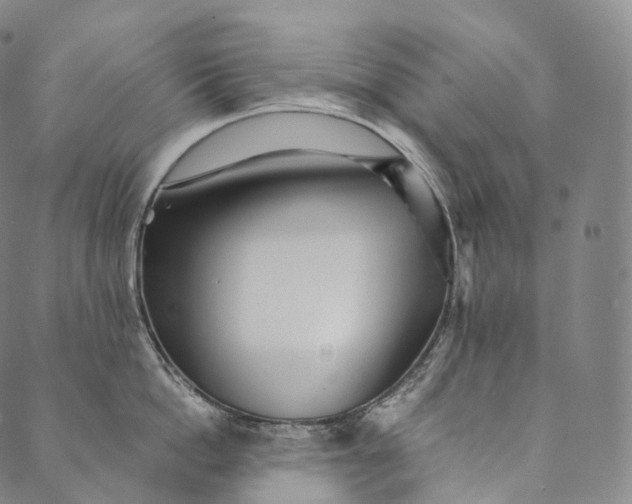 X0000089970862200707131421