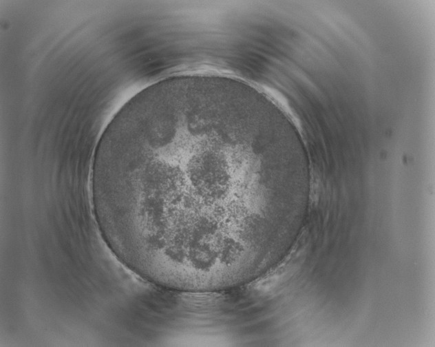 X0000089970863200707131421