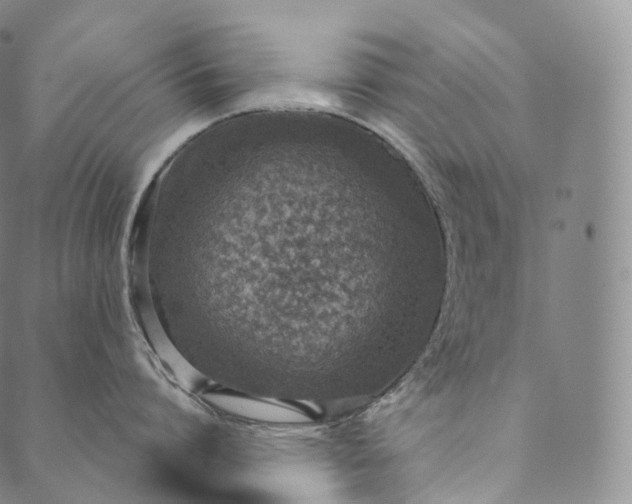 X0000089970864200707131421