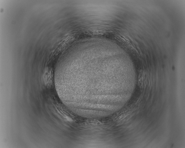 X0000089970866200707131420