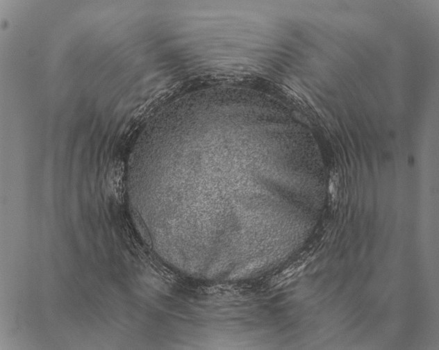 X0000089970867200707131420
