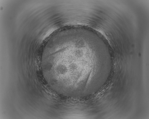 X0000089970871200707131420