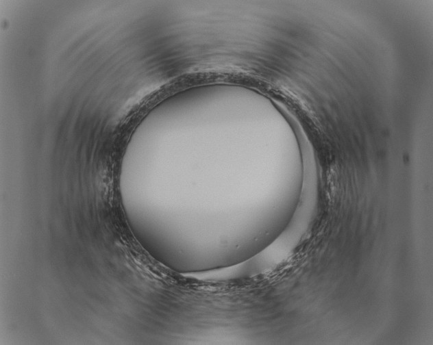 X0000089970872200707131420