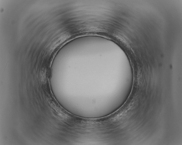 X0000089970873200707131420