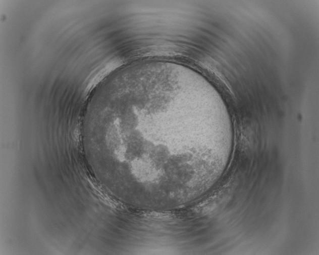 X0000089970874200707131420