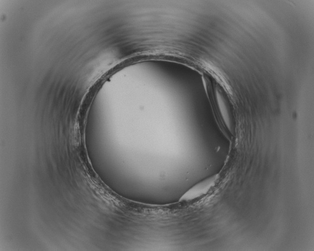 X0000089970876200707131420