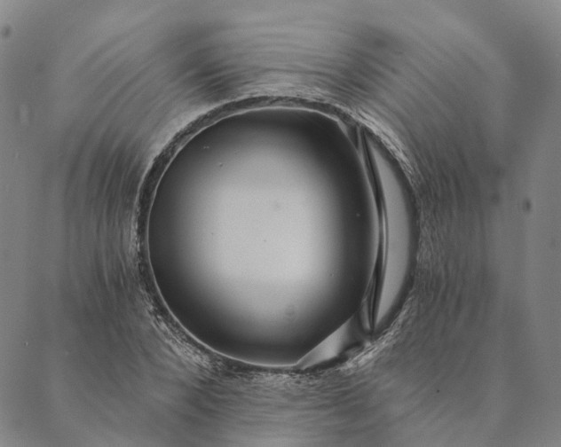 X0000089970880200707131420