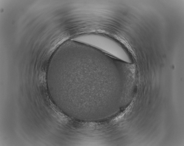 X0000089970881200707131420