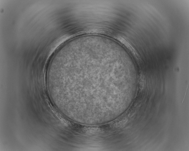 X0000089970886200707131420