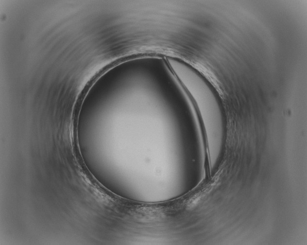 X0000089970888200707131420