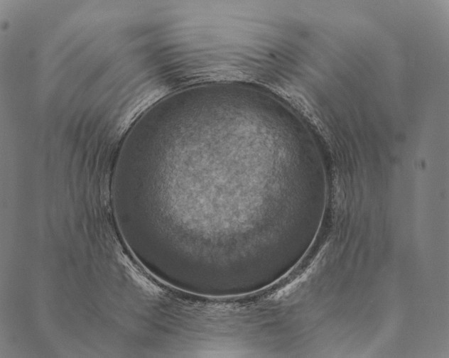 X0000089970889200707131420