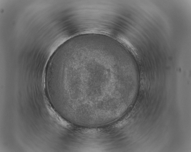 X0000089970892200707131420