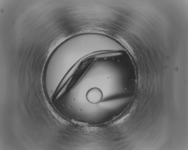 X0000089970893200707131420