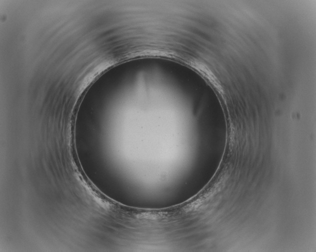 X0000089970898200707131420