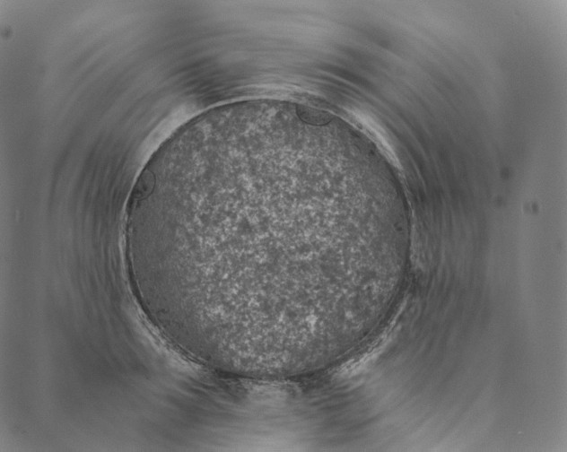 X0000089970899200707131420