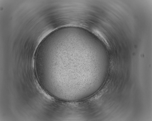 X0000089970900200707131420