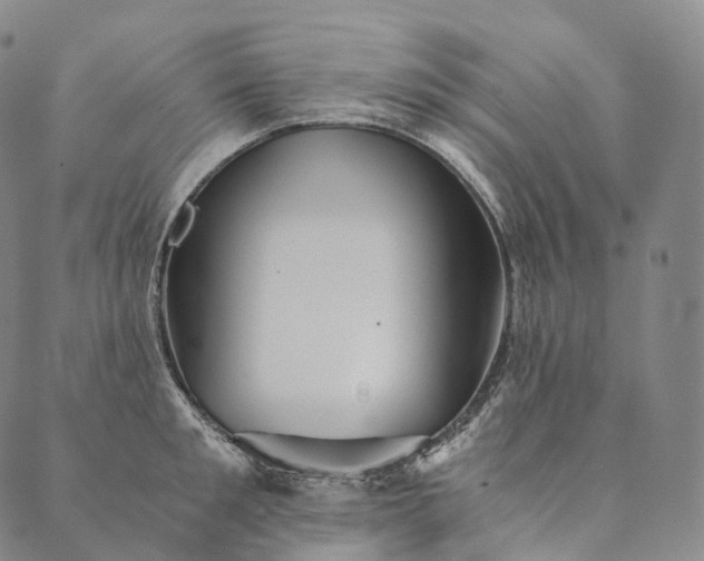 X0000089970901200707131420