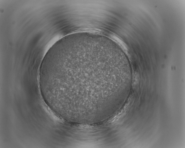 X0000089970907200707131420