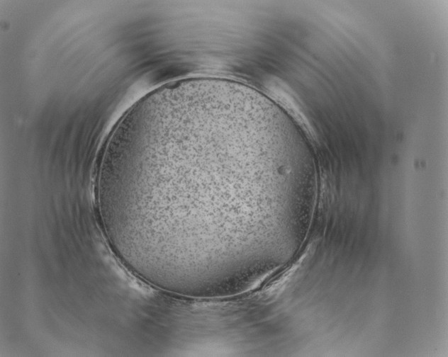 X0000089970908200707131420