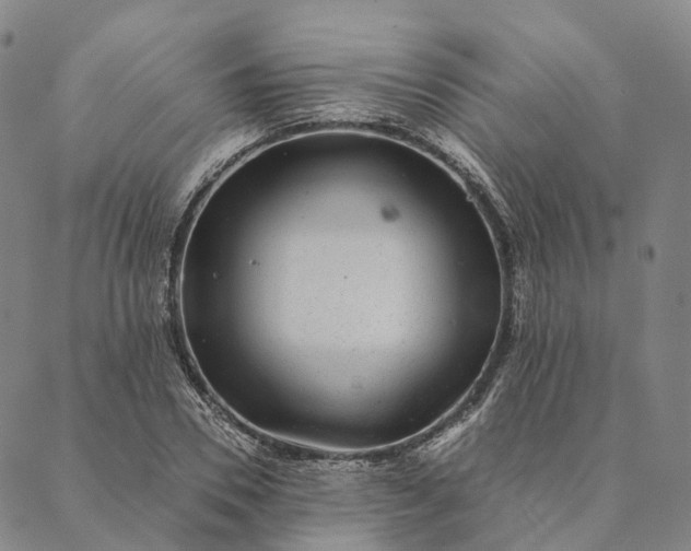 X0000089970930200707131419