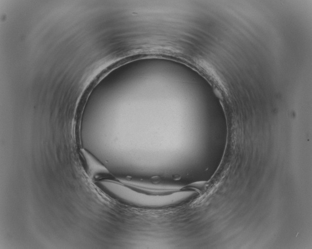 X0000089970932200707131419