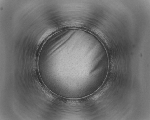 X0000089970978200707131418