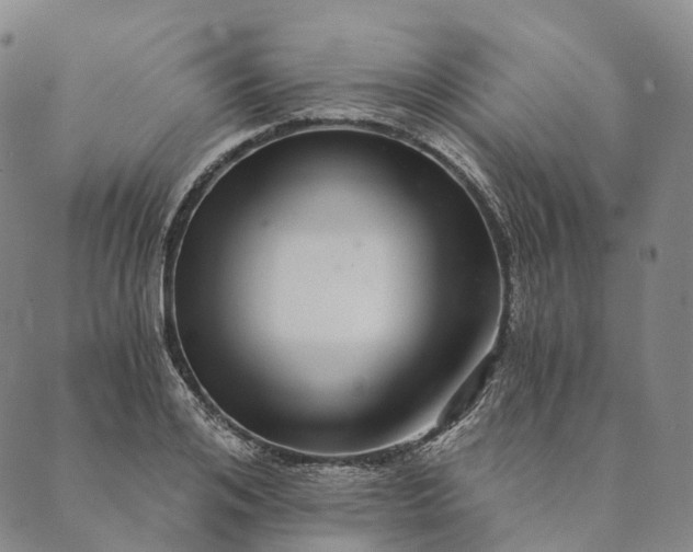X0000089970984200707131418