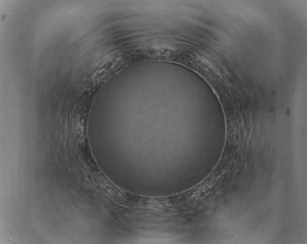 X0000089971013200707131417